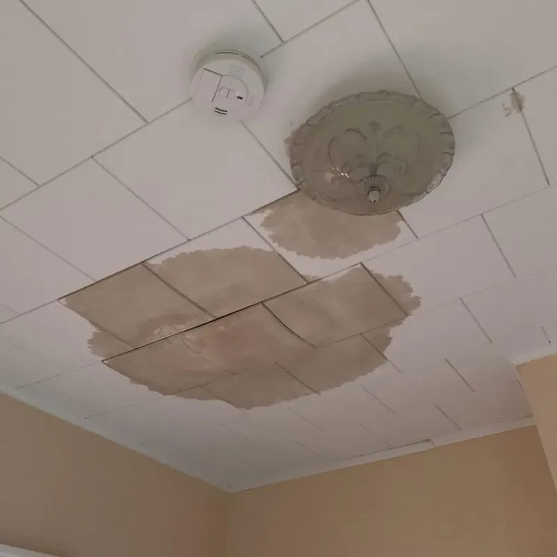 Ceiling Water Damage Repair in Bystrom, CA