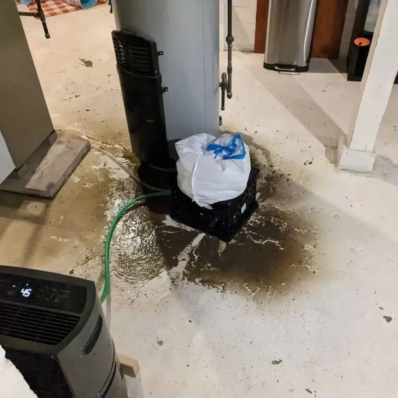 Sewage Backup Cleanup Service in Bystrom, CA